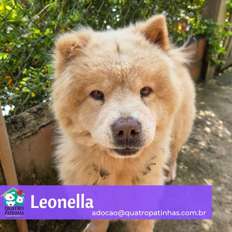 leonella