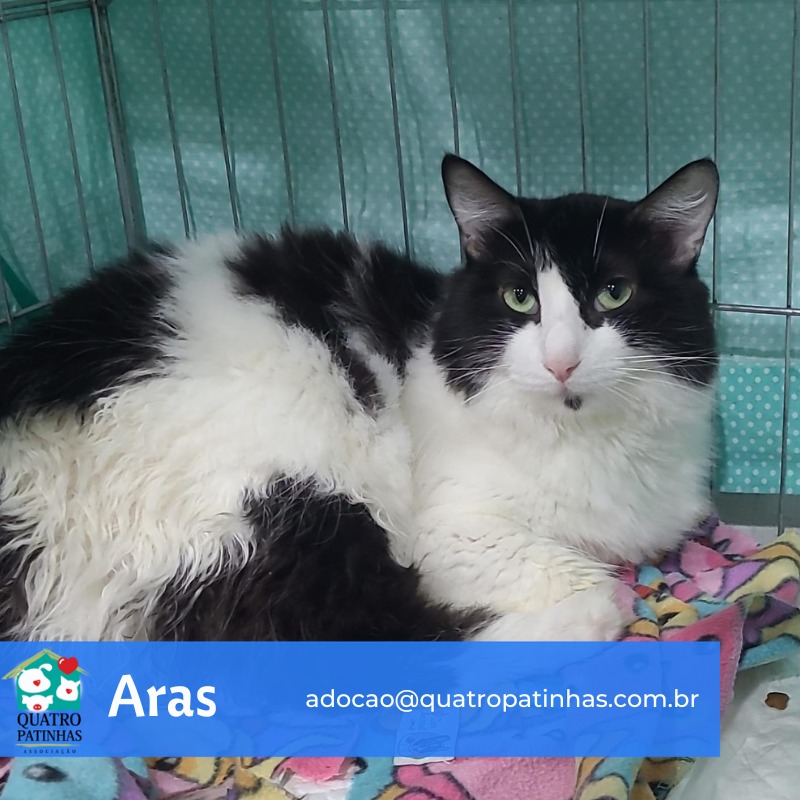 Imagem do WhatsApp de 2025-06-13 à(s) 09.57.48_88bc6602