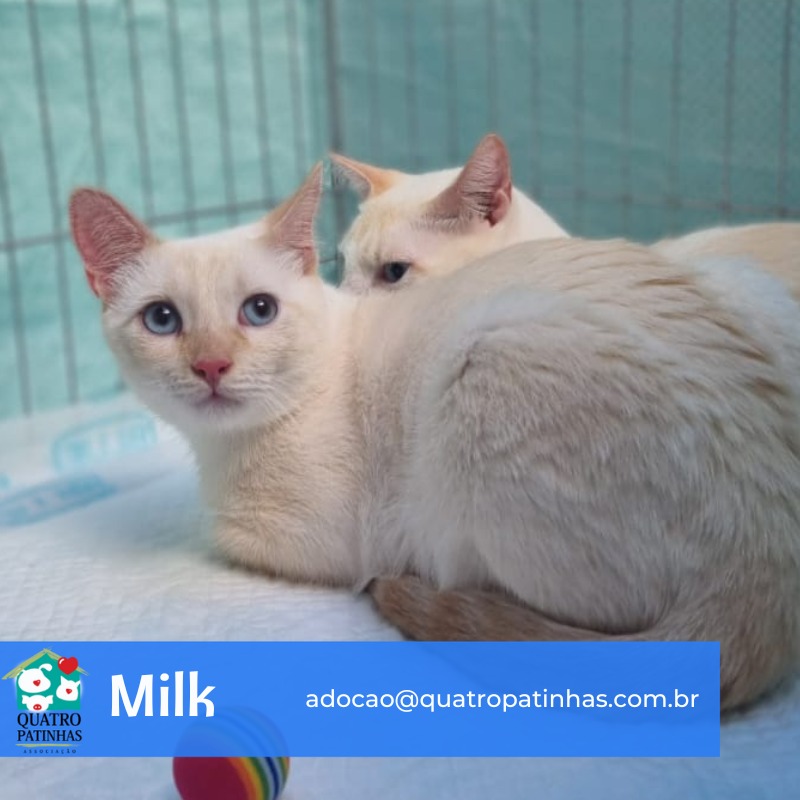 Imagem do WhatsApp de 2025-06-13 à(s) 09.57.48_f8cfbf0c